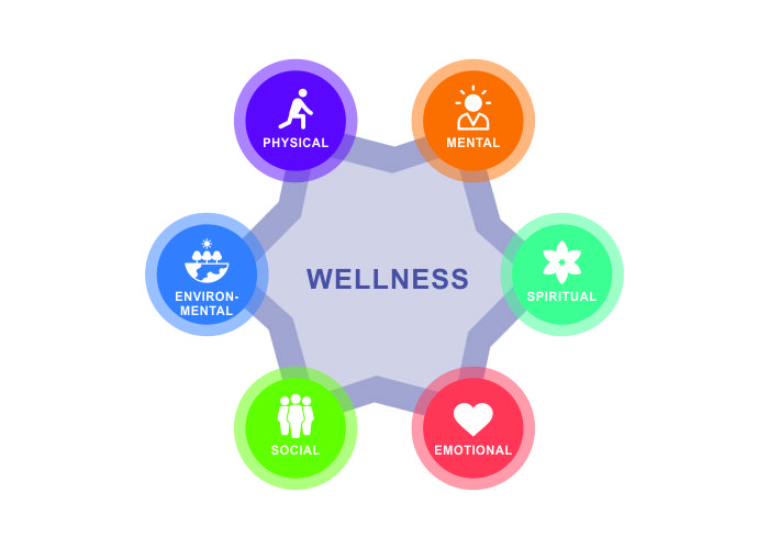 Wellness-1b